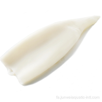 لوله ماهی مرکب تازه منجمد